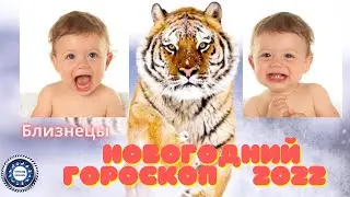 Новогодний гороскоп для Близнецов на 2022 год