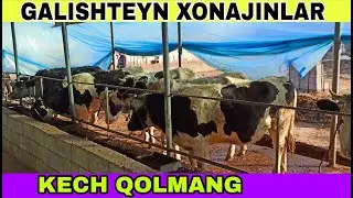 GALISHTEYN XONAJINLAR KELDI ZOR EKAN SHOSHILING OZ QOLDI