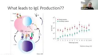 Overview of Hyper IgE