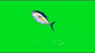 Top 10 Catch a Fish Green Screen VFX Effects