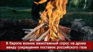 В Европе возник ажиотажный спрос на дрова ввиду сокращения поставок российского газа