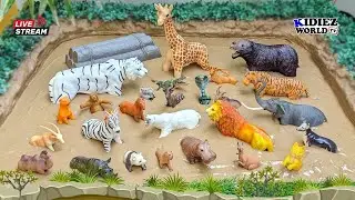 Meet the Cutest Herbivores, Carnivores, & Omnivores Animals Stuck in Mud