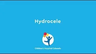 What is Hydrocele Surgery?
