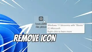 Remove Icon Learn About This Picture in Desktop Windows 11