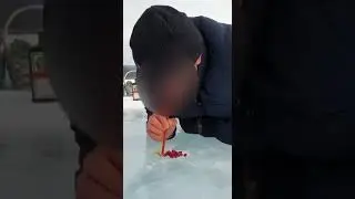 #поцелуй