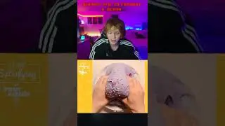ДИПИНС ЧТО-ТО ГОТОВИТ К ОСЕНИ | тгк: муха дипинса ☀ | 