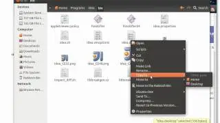 How to get started with IntelliJ IDEA on Ubuntu
