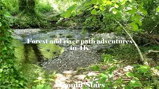 Forest and river path adventures in 4K