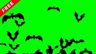 TOP 5 HALLOWEEN green screen