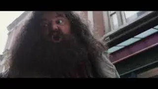 Гарри Поттер впервые пришел на волшебный рынок вместе с Хагридом