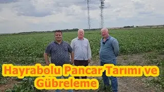 Hayrabolu Pancar Yetiştiriciliği - Şeker Pancarı Sıvı Yaprak Gübresi - Pancar Gübreleme