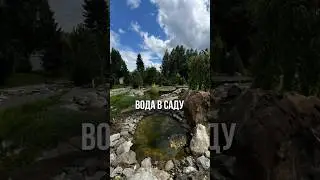 Интересное решение для создания водных объектов в саду смотрите в этом видео😉