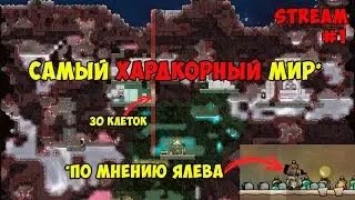 Самая сложная карта *по мнению Ялева ► #1 Oxygen not included ► Spaced Out