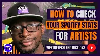 HOW TO CHECK YOUR SPOTIFY STATS FOR ARTISTS | MUSIC INDUSTRY TIPS