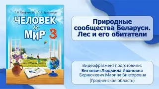 Природа и человек. Тема 5-1. Природные сообщества Беларуси. Лес и его обитатели