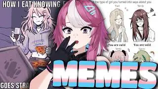 Most EXPENSIVE Transgender Meme Video EVER MADE