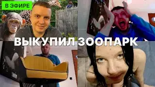 ПАПИЧ ВЫКУПИЛ ВЕСЬ ЗООПАРК ДЛЯ ВИДЕО | НОВЫЙ СТУЛ | ВСЕ РОФЛЫ СО СТРИМА