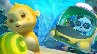 Daddy Seahorse Gives Birth to Babies | Super Rescue Team | Kids Cartoon | BabyBus TV