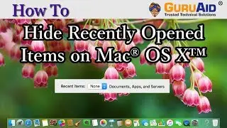 How to Hide Recently Opened Items on Mac® OS X™ - GuruAid