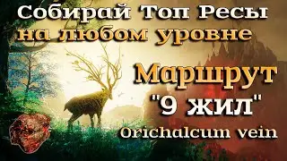 New World. Топ маршрут сбора Орихалка для игроков любого уровня. Куча полезных ресурсов по дороге!