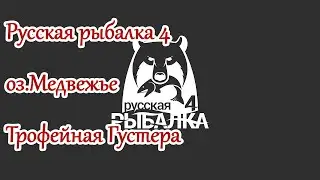 Стрим! РР 4. Трофейная густера оз.Медвежье