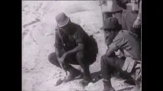 ארץ המרדפים