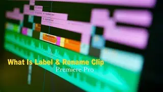 What Is Label  &  Rename Clip In Premiere Pro || Useful Tool ||