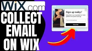 How to Collect Emails on Wix (2024)