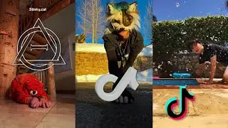 🦊Therian and Quadrobics TikToks || Compilation 🐾🍂 || Alterhumans of TikTok #9