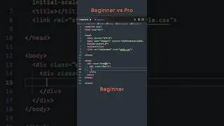 CSS: Beginner vs Pro Developer 