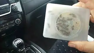 Карника из Словении