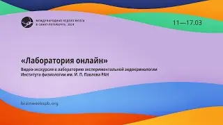 Лаборатория экспериментальной эндокринологии Института физиологии им. И.П. Павлова РАН