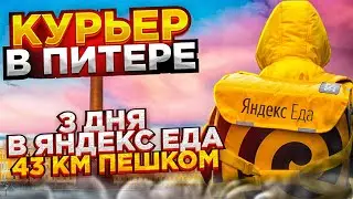 Курьер в Питере. 3 дня в Яндекс Еда. Сколько заработал?