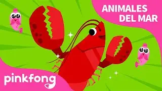 Langosta | 🦞Aplaude, aplaude langosta 🦞| Animales del Mar | Pinkfong Canciones Infantiles
