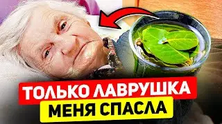 Почему об Этом МОЛЧАТ?! Вот Что творит Лавровый лист с организмом...