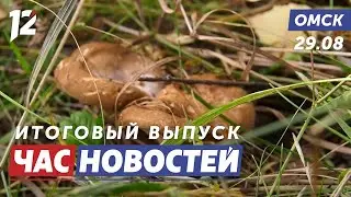 Сезон «тихой охоты» / Заморозки / Разрушительное ДТП. Новости Омска