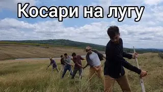 Косари на лугу. Братья из Михайловки.