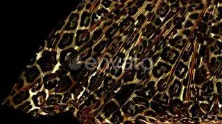 Leopard Skin Curtains Open / Videohive, Motion graphics, Elements, Events