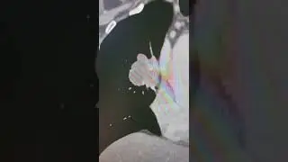 Центральный рак лёгкого