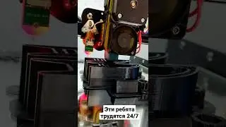 Трудяги! Работают 24/7
