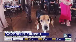 Weddings including man's best friend