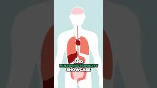 Pharynx Helps with Breathing, Eating and Speaking? 😮