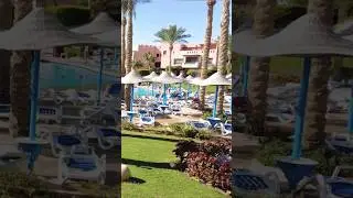 Египет 🇪🇬 Шарм.  Классный отель 4 ⭐️