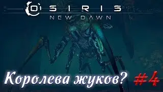 OSIRIS NEW DOWN - ЛП - Королева Жуков? #4