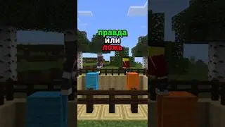 ПРАВДА ИЛИ ЛОЖЬ | Янер и Баобаб
