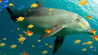 Здравствуй, море!