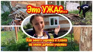 ЭТО УЖАСНО/ОЧЕНЬ МНОГО ХЛАМА И СОРНЯКА НА МОЕМ ДАЧНОМ УЧАСТКЕ/КАК Я ОДНА ПЫТАЮСЬ УБРАТЬ,ПРЕОБРАЗИТЬ