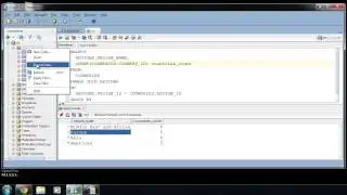 SQL Developer import : sqlvids