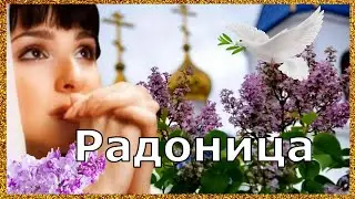 С Радоницей! Радоница - День Особого Поминовения Усопших! 🙏🌹🌹