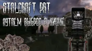 ЛУТАЕМ ВЫБРОС В КИШКЕ ЗОНЫ | STALCRAFT PRT